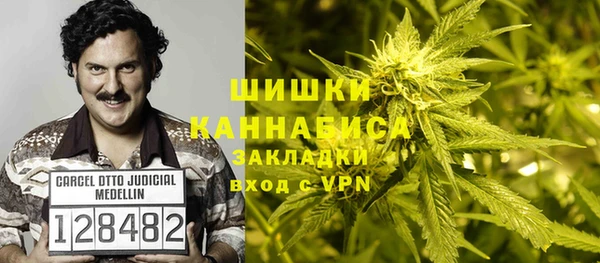 2c-b Богданович