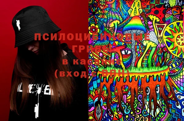 a pvp Богородицк